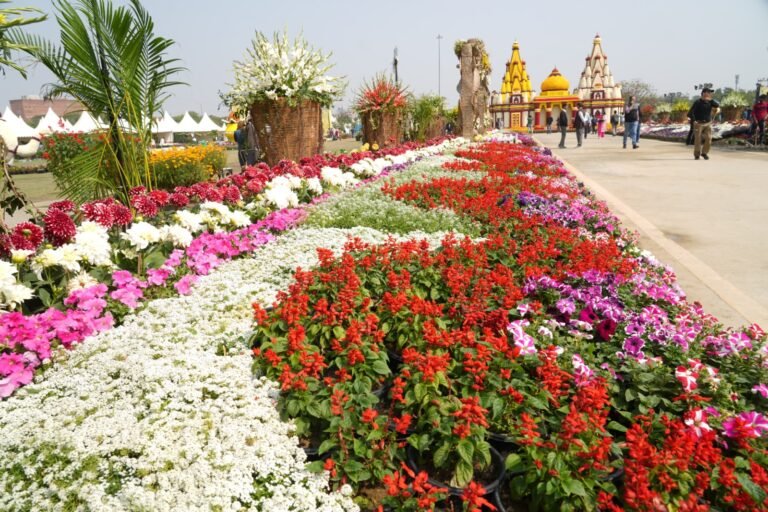 Noida Flower Show 2025: फूलों की महक और संस्कृति की झलक के साथ शुरू हुआ नोएडा वसंत उत्सव