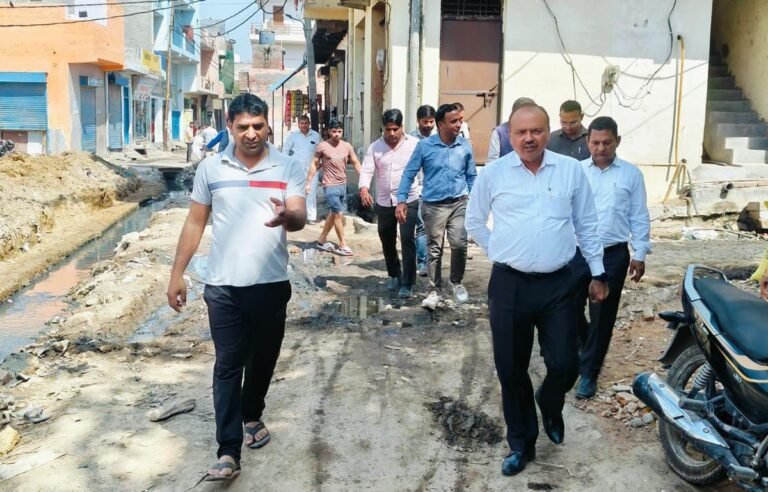 Noida Authority के वरिष्ठ प्रबंधक के.वी. सिंह ने सौहरखा गांव की मूलभूत समस्याओं का निरीक्षण किया।