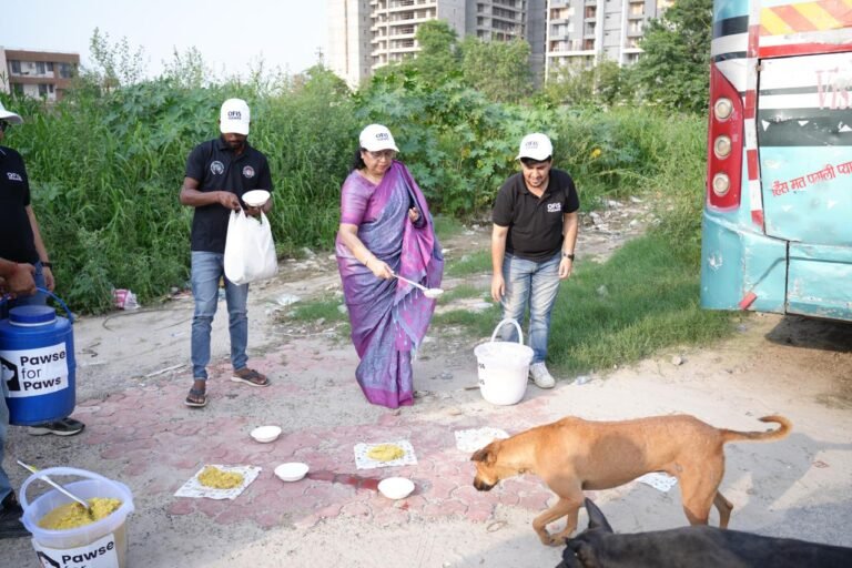 Noida स्ट्रीट डॉग्स को दिया स्वास्थ्य और उम्मीद का तोहफ़ा