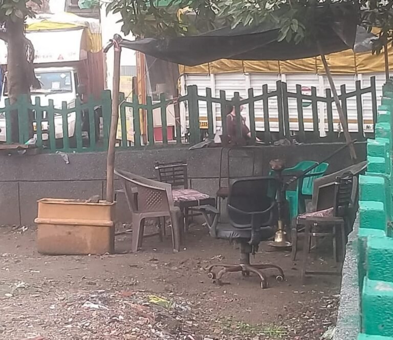 Noida प्राधिकरण की ग्रीन बेल्ट पर दबंगों का अवैध कब्ज़ा