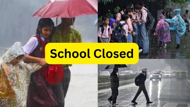 Noida  कल जिले के सभी स्कूलों की छुट्टी डीएम ने दिया आदेश