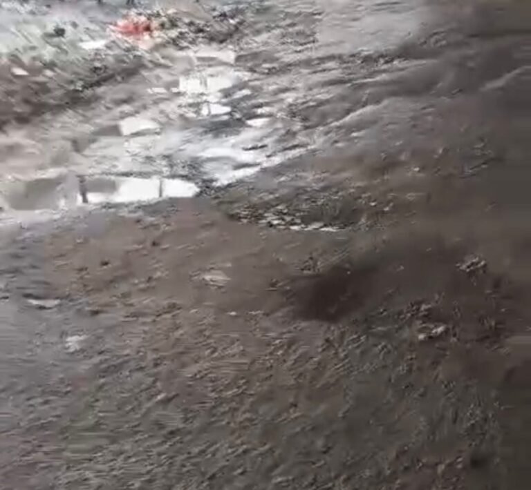 Noida:एलिवेटिड रोड के नीचे बनी सड़क पर गड्ढों की भरमार, विभाग ने मूंदी आंखें